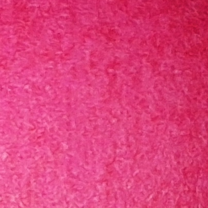 Rose Red - Afbeelding 1