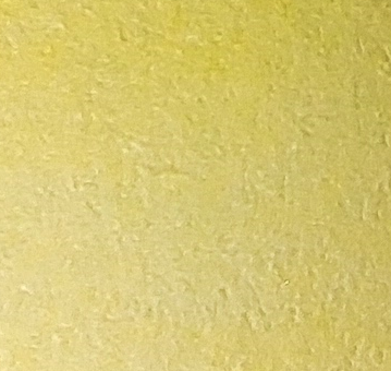 035 (Lemon Yellow) - Afbeelding 1