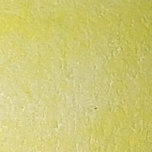 038 (Pale Yellow) - Afbeelding 1