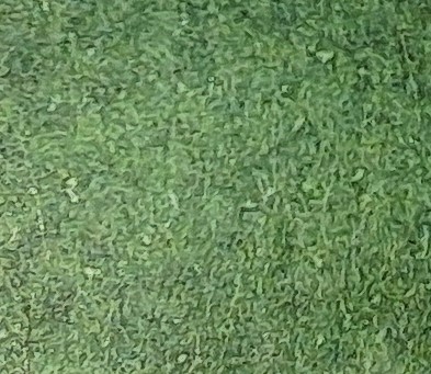 043 (Deep Olive Green) - Afbeelding 1