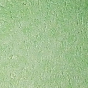 058 (Mint Green Light)