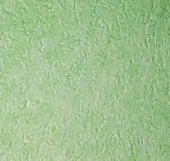 058 (Mint Green Light)