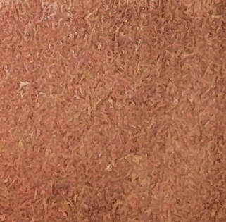 093 (Burnt Orange) - Afbeelding 1