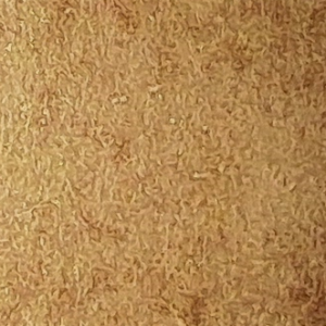 101 (Yellow Ochre) - Afbeelding 1