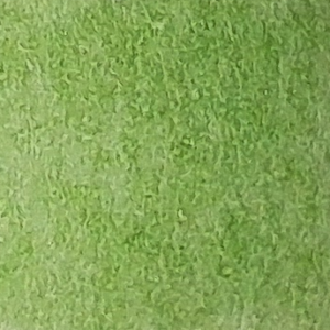 175 (Lime Green) - Afbeelding 1