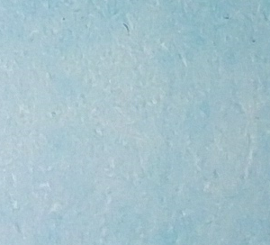 Pale Blue Light - Afbeelding 1