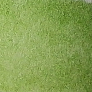 226 (Green Sage Light) - Afbeelding 1