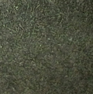 230 (Greyish Green Sage Dark)