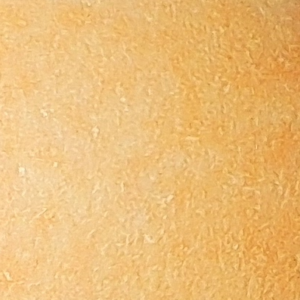 259 (Peachy Blush)