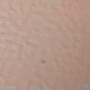 203 (Light Old Pink) - Afbeelding 1