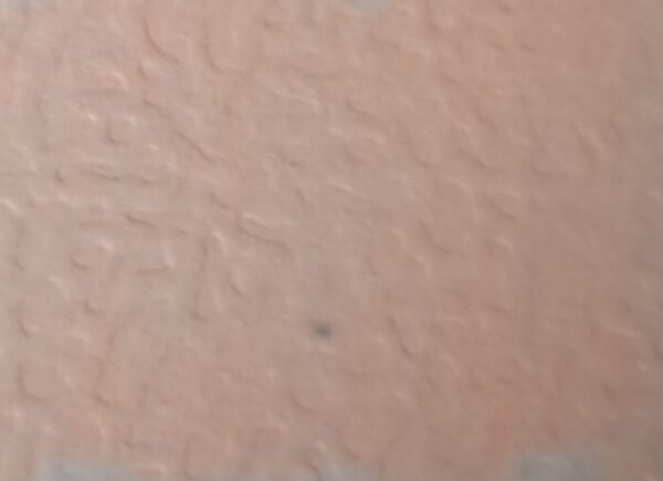 203 (Light Old Pink)