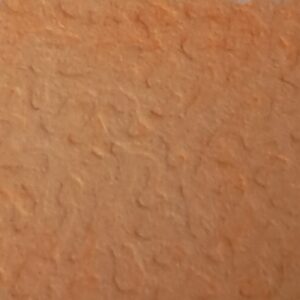 Papaya - Afbeelding 1