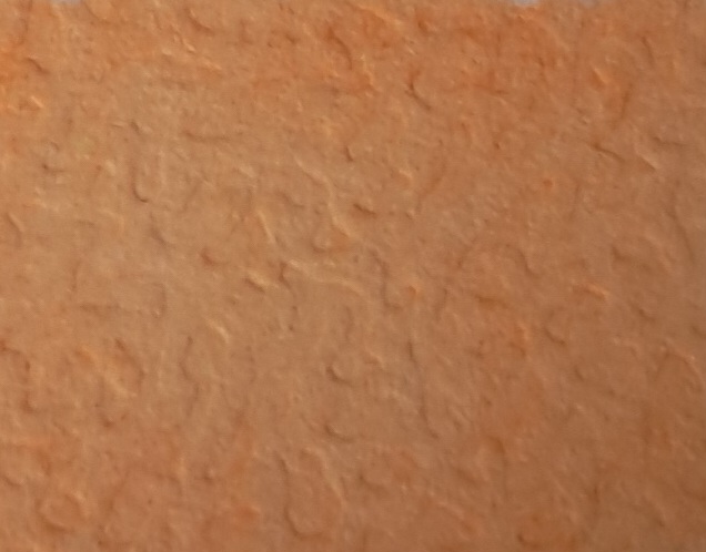 Papaya - Afbeelding 1