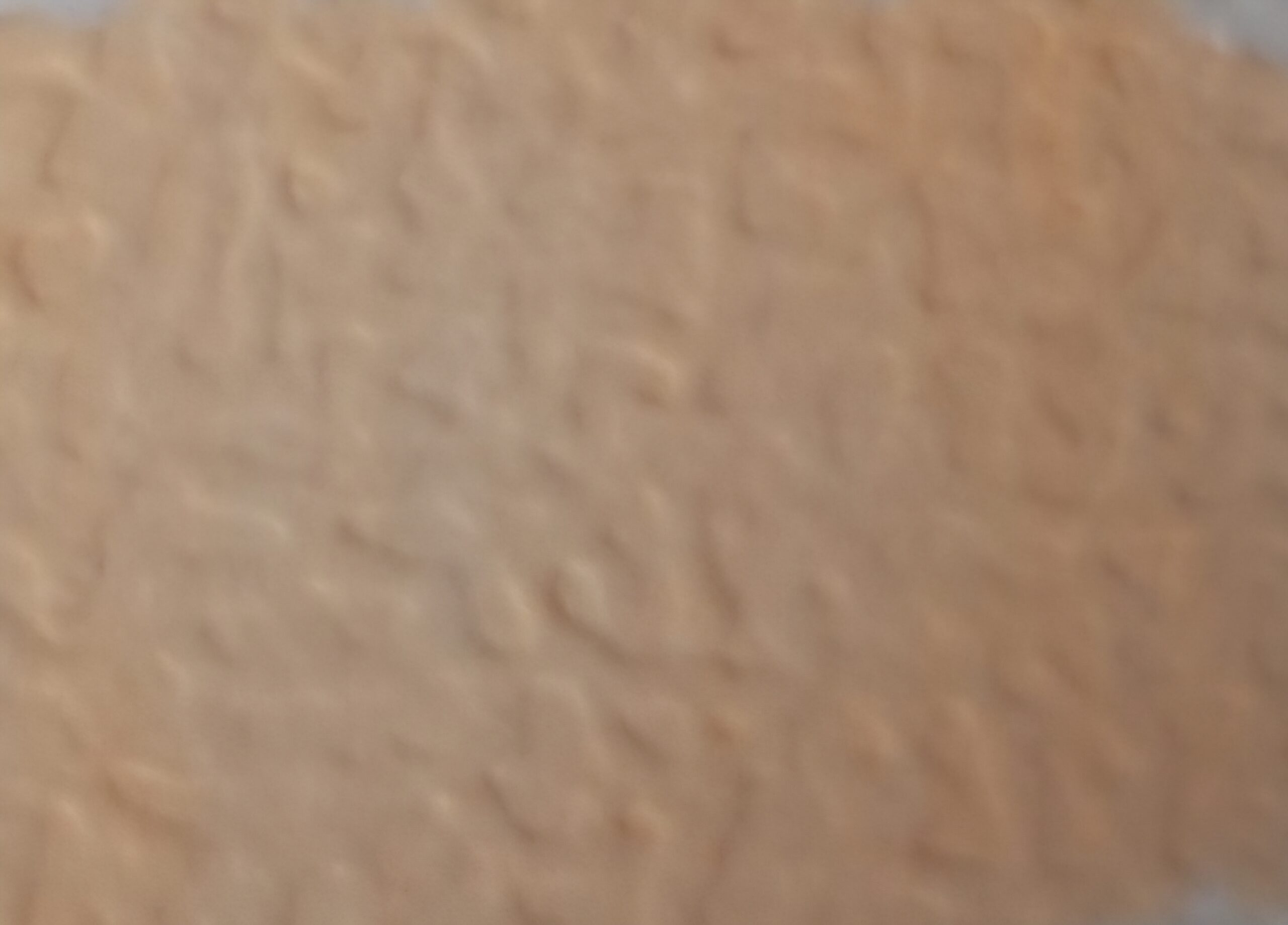 Straw Yellow - Afbeelding 1