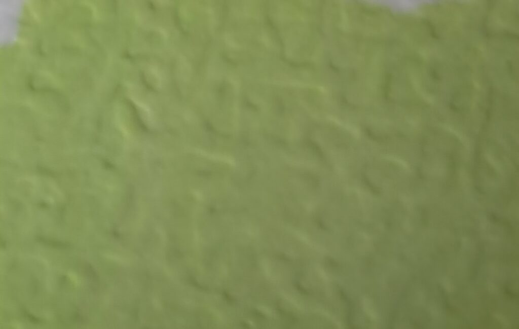236 (Spring Green)