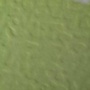 236 (Spring Green) - Afbeelding 1