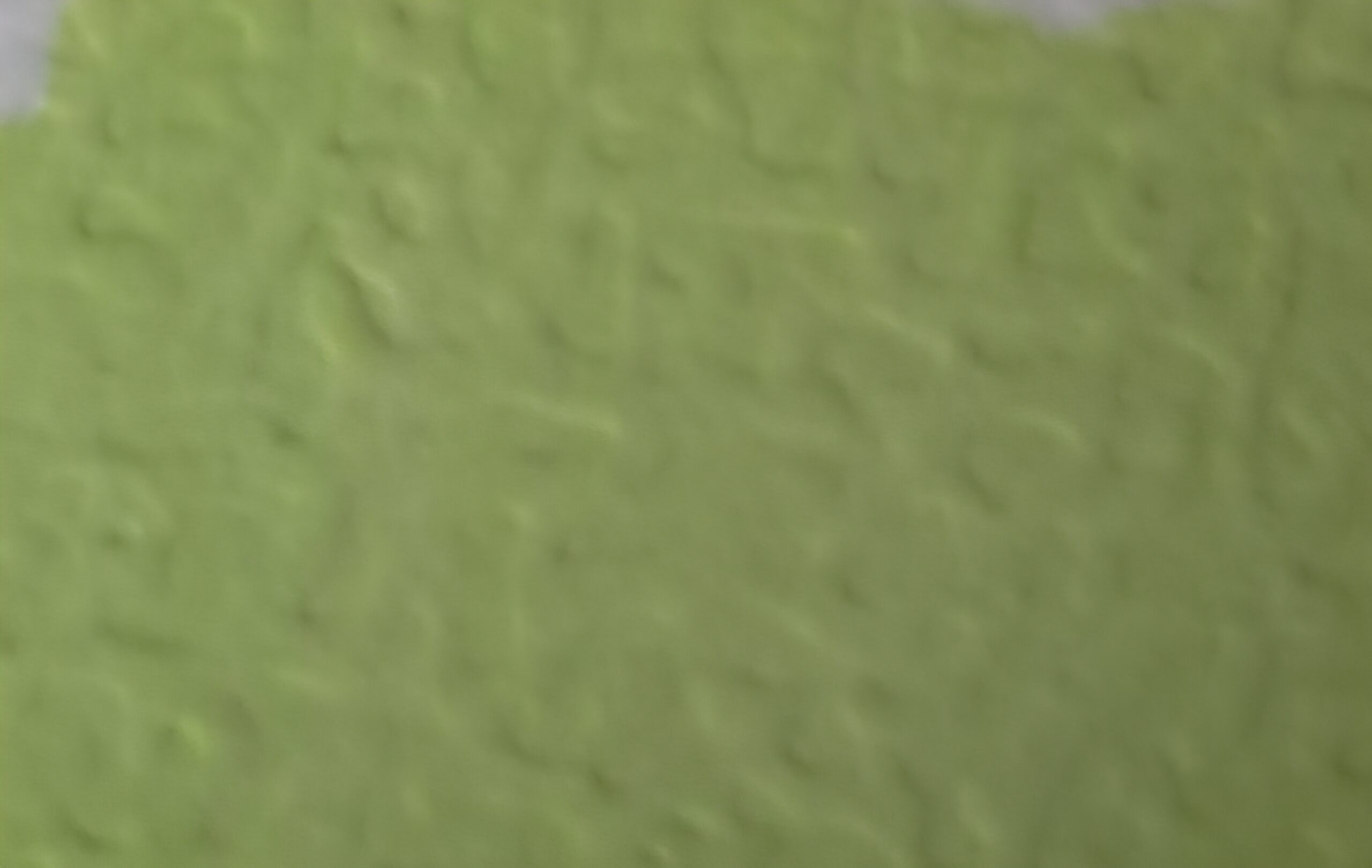 236 (Spring Green) - Afbeelding 1
