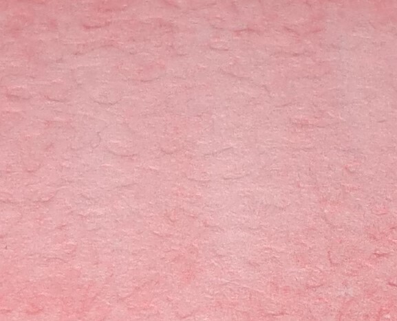 009 (Pale Pink) - Afbeelding 1