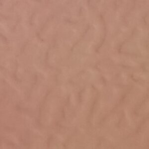 293 (Dull Cosmos Purple)