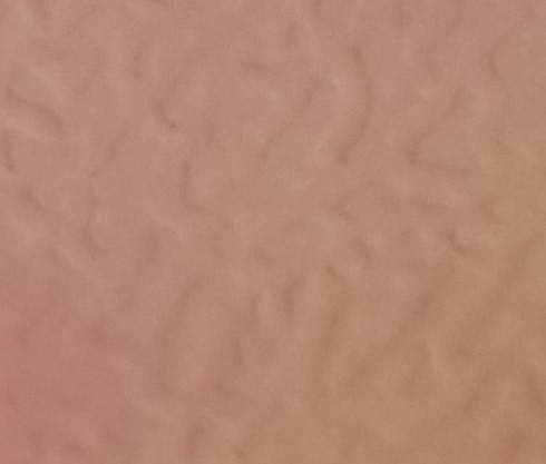 293 (Dull Cosmos Purple)