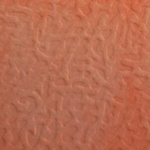 268 (Apricot Peach) - Afbeelding 1