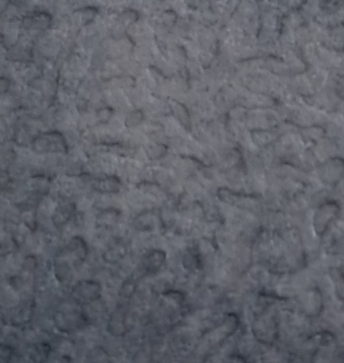 BG5 (Blue Grey 5)